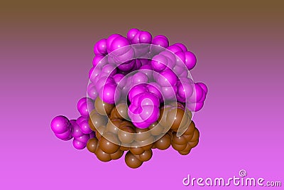 Human insulin. Space-filling molecular model. 3d illustration Cartoon Illustration