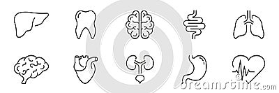 Human Internal Organ Anatomy Line Icon Set. Liver, Tooth, Brain, Stomach, Heart, Lung, Urinary System, Intestine Linear Vector Illustration