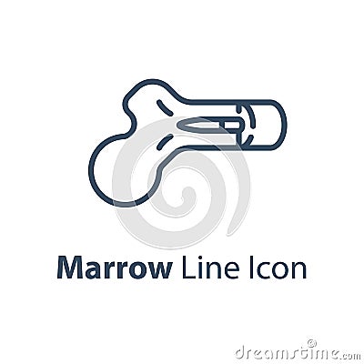 Human internal organ, marrow diagram, vector line icon Vector Illustration