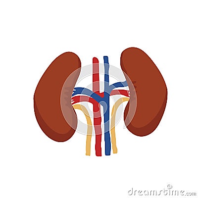 Human Internal organs, cartoon anatomy body part kidneys, vector illustration Vector Illustration