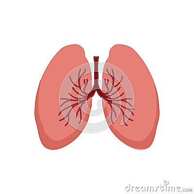 Human Internal organs, cartoon anatomy body part lungs, vector illustration Vector Illustration