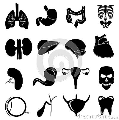 Human internal organs icons set Vector Illustration