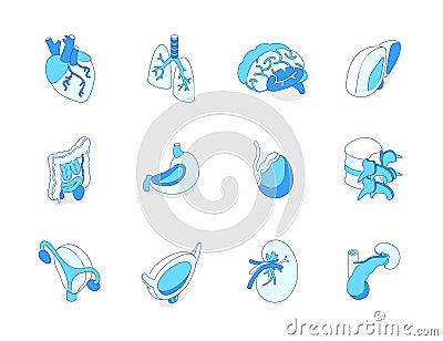 Human internal organs - modern isometric icons set Vector Illustration