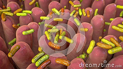 Human intestine with intestinal bacteria Cartoon Illustration