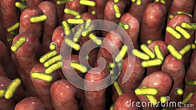 Human intestine with intestinal bacteria Cartoon Illustration