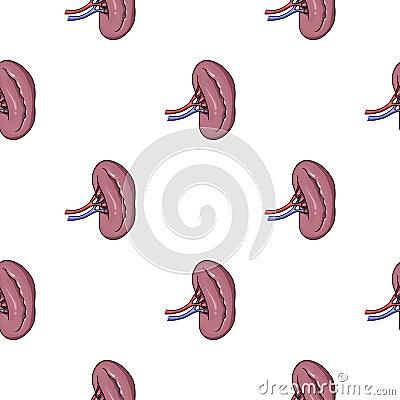 Human kidney icon in cartoon style isolated on white background. Human organs symbol stock vector illustration. Vector Illustration