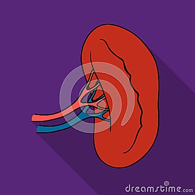 Human kidney icon in flat style isolated on white background. Human organs symbol stock vector illustration. Vector Illustration