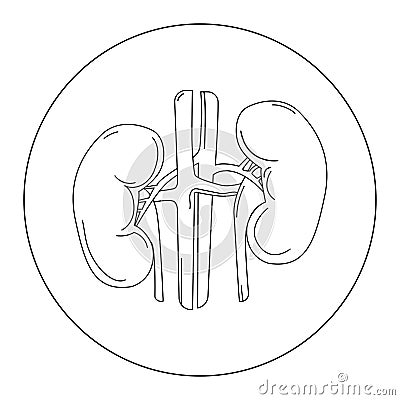 Human kidney internal organs line drawing, logo emblem icon design. Medical concept .Vector black and white illustration Vector Illustration
