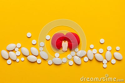 Human kidney model with pills on a yellow background. Copy space for text Stock Photo