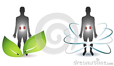 Human kidneys health care Vector Illustration