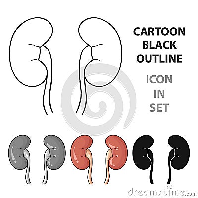 Human kidneys icon in cartoon style isolated on white background. Vector Illustration