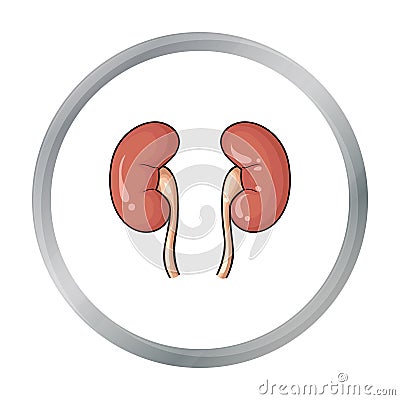 Human kidneys icon in cartoon style isolated on white background. Human organs symbol stock vector illustration. Vector Illustration