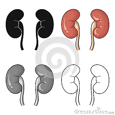 Human kidneys icon in cartoon style isolated on white background. Human organs symbol stock vector illustration. Vector Illustration