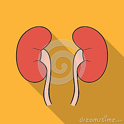 Human kidneys icon in flat style isolated on white background. Human organs symbol stock vector illustration. Vector Illustration