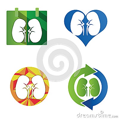 Human kidneys icon Vector Illustration