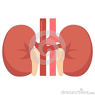 Human kidneys organ icon, vector illustration Vector Illustration