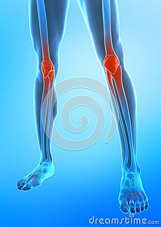 Human knee Stock Photo