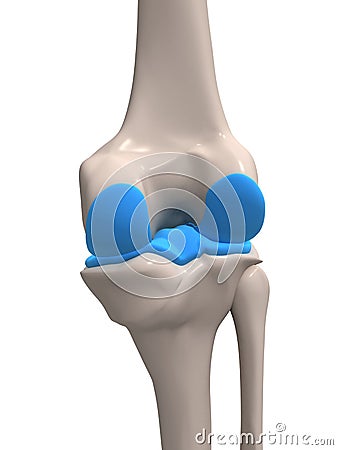 Human knee Cartoon Illustration