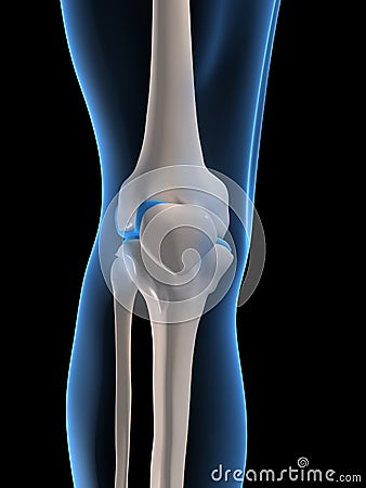 Human knee Cartoon Illustration