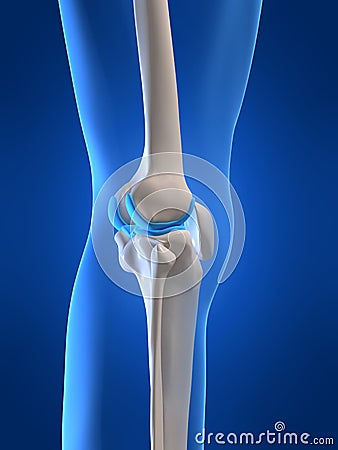 Human knee Cartoon Illustration