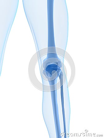 Human knee Cartoon Illustration