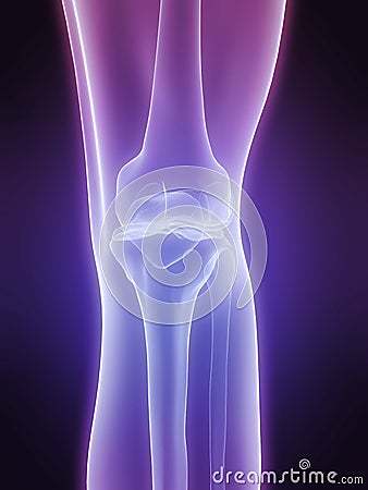 Human knee Cartoon Illustration