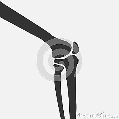 Human knee joint side view Vector Illustration