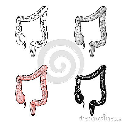 Human large intestine icon in cartoon style isolated on white background. Human organs symbol stock vector illustration. Vector Illustration