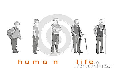 Human life at different ages. vector illustration Vector Illustration