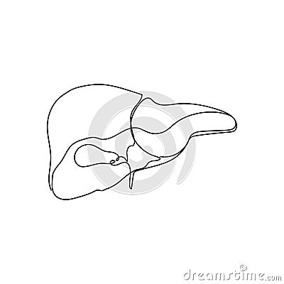 Human liver with gallbladder one line art. Continuous line drawing of human, internal, organs, gastrointestinal tract. Vector Illustration