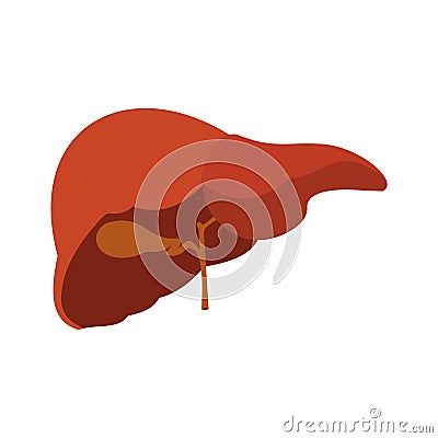 Human liver icon Vector Illustration