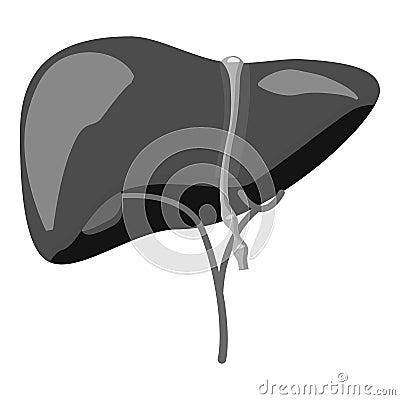 Human liver icon, gray monochrome style Vector Illustration