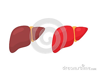 Human liver icons set. Humna body organ. Isolated. Vector Vector Illustration