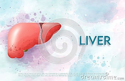Human liver and treatment watercolor style. Vector Illustration