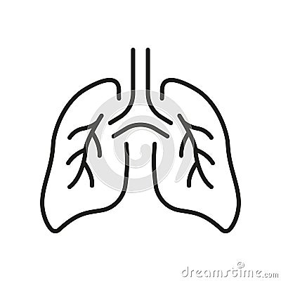 Human Lung Line Icon. Bronchi and Trachea Breath System Pictogram. Healthy Bronchial Respiratory Organ Outline Icon Vector Illustration