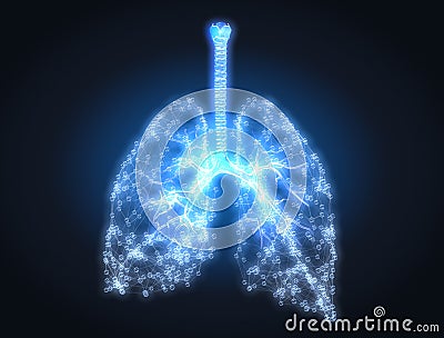 Human lungs with bronchi and pulmonars alveoli, conceptual artwork Stock Photo