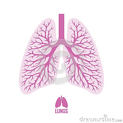 Human Lungs with Bronchial Tree Vector Illustration