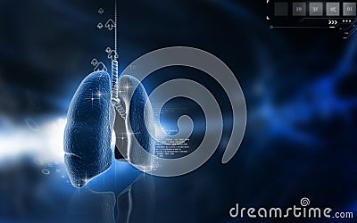 Human lungs Cartoon Illustration