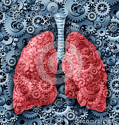 Human lungs Function Stock Photo