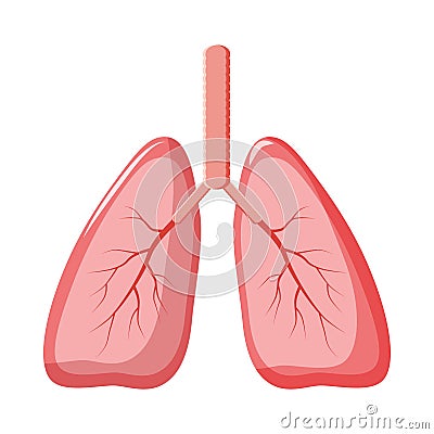 Human lungs icon in cartoon style Vector Illustration