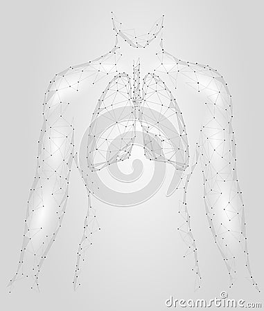 Human Lungs Pulmonary infection Internal Organ. Respiratory system Inside Body Silhouette. Low Poly 3d Connected Dots Triangle Pol Stock Photo