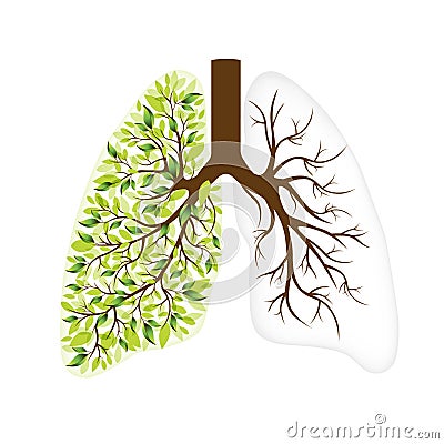 668_Human lungs Respiratory system. Healthy lungs Vector Illustration