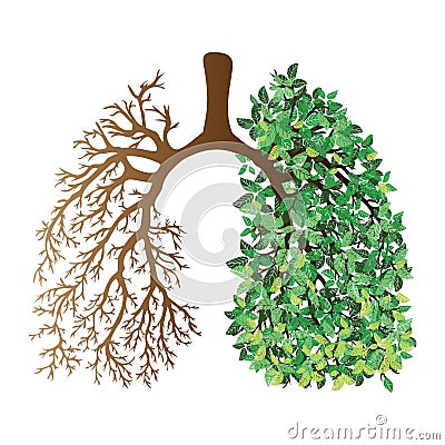 Human lungs. Respiratory system. Healthy lungs. Light in the form of a tree. Line art. Drawing by hand. Medicine. Vector Illustration