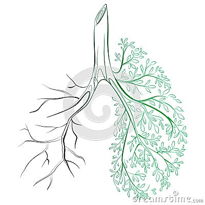 Human lungs. respiratory system. Healthy lungs. Light in the form of a tree. Line art. Drawing by hand. Medicine. Vector Illustration