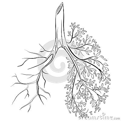 Human lungs. respiratory system. Healthy lungs. Light in the form of a tree. Line art. Drawing by hand. Medicine. Vector Illustration