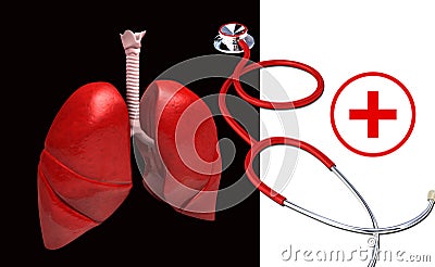 Human lungs,stethoscope and clinical symbol Cartoon Illustration