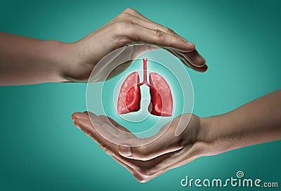 The concept of a healthy lungs. Stock Photo