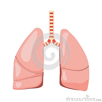Human lungs vector Vector Illustration
