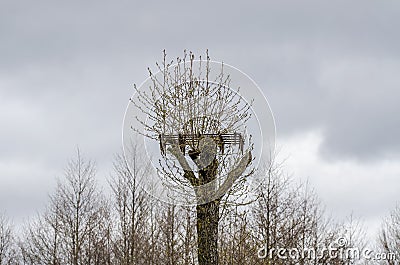 Human made place for stork nest Stock Photo