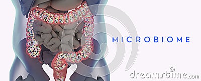 Human microbiome large intestine filled with bacteria. Title: `Digestive System` Cartoon Illustration